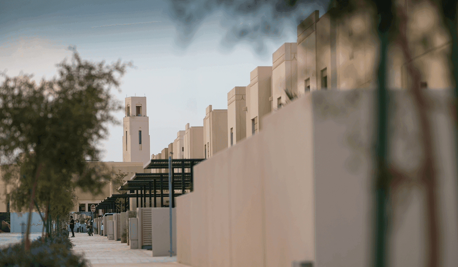 الاستدامة المالية
